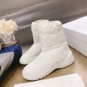 Dior Frost Ankle Boot